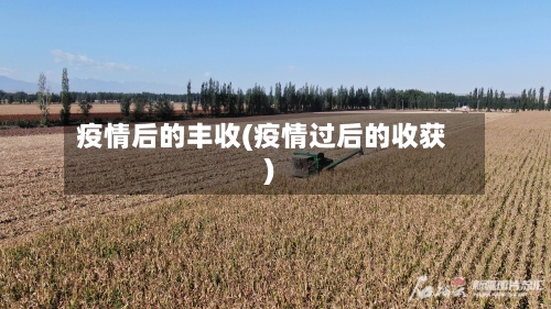 疫情后的丰收(疫情过后的收获)