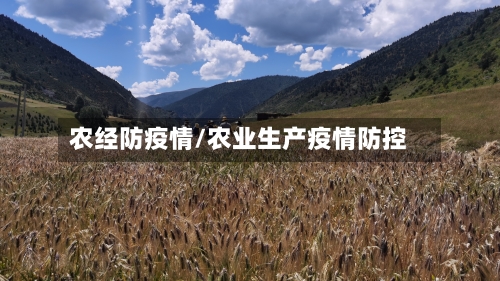 农经防疫情/农业生产疫情防控-第3张图片