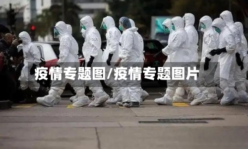疫情专题图/疫情专题图片