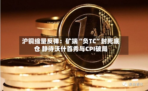 沪铜缩量反弹：矿端“负TC	”封死底仓 静待沃什首秀与CPI破局-第2张图片