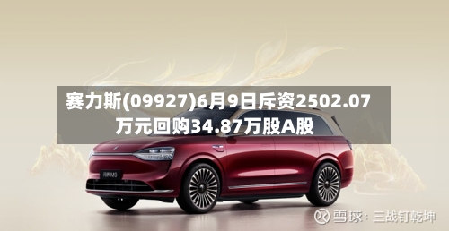 赛力斯(09927)6月9日斥资2502.07万元回购34.87万股A股