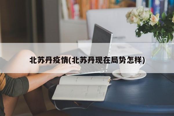 北苏丹疫情(北苏丹现在局势怎样)