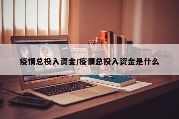 疫情总投入资金/疫情总投入资金是什么